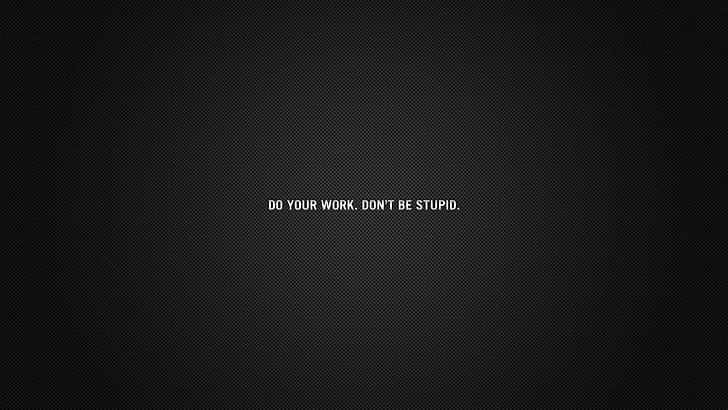 A Little Motivation HD, do your work don't be stupid text, HD wallpaper