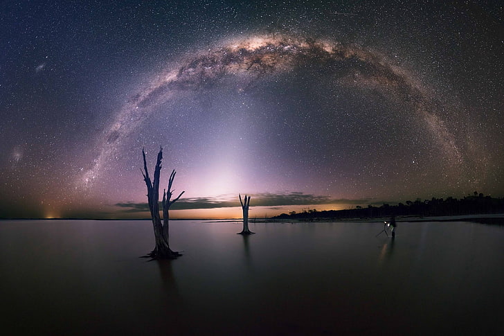 leafless tree, nature, Milky Way, sky, water, beauty in nature
