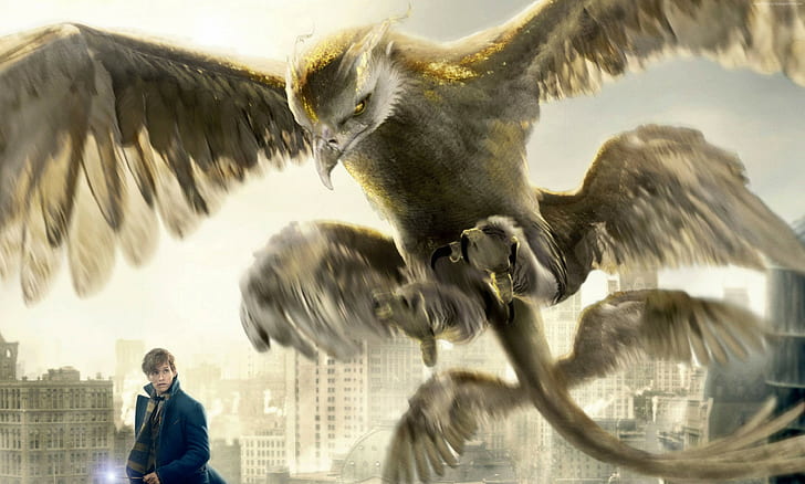 Fantastic Beasts And Where To Find Them, Best Movies, Eddie Redmayne