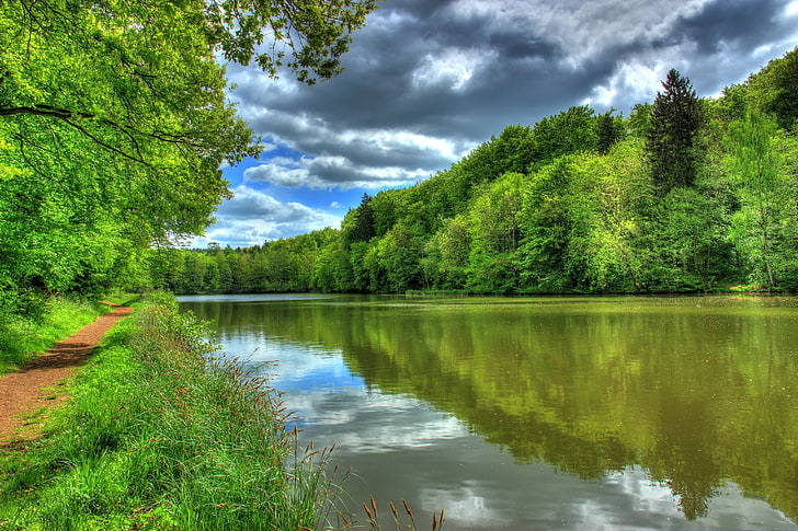 green leafed trees, river, germany, tropic landscape, hessen lich