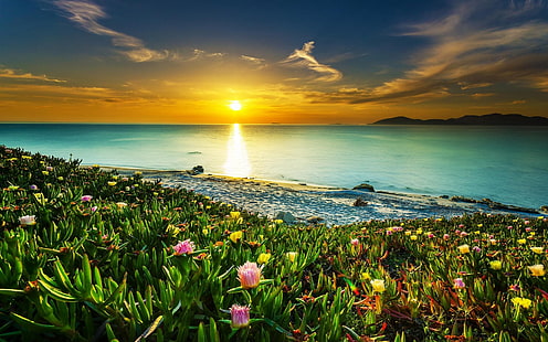 [Image: landscape-nature-beach-sunset-wallpaper-thumb.jpg]