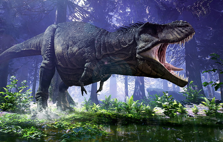 Tyrannosaurus, T-Rex, HD, 5K, HD wallpaper