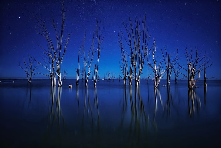blue and white abstract painting, nature, dark, water, trees, HD wallpaper