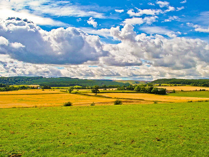 landscape photo of green grass field, bannockburn, bannockburn, HD wallpaper