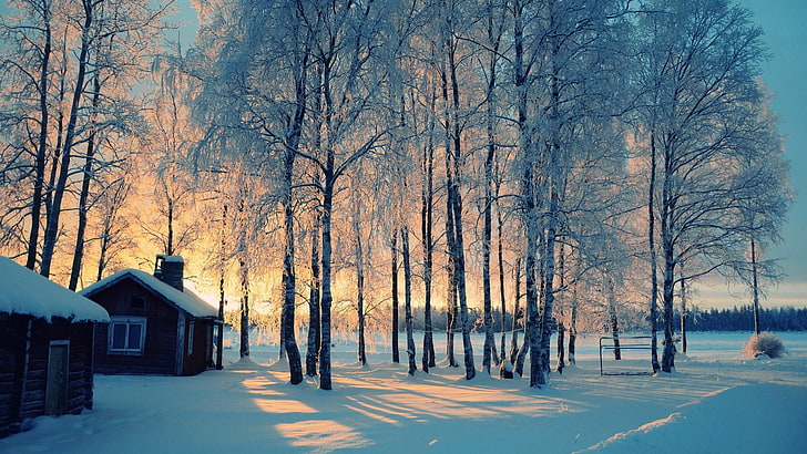 Winter Morning: When the Nature Beautifies itself like this... What else to say? just enjoy!!, HD wallpaper