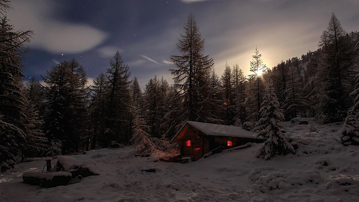 cabin, light, mountain, evening, woody plant, freezing, tree, HD wallpaper