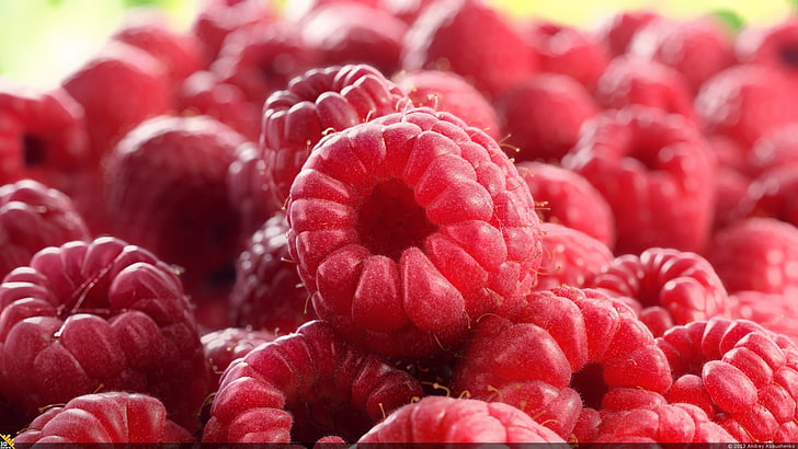 raspberries, fruit, red, freshness, close-up, food and drink, HD wallpaper