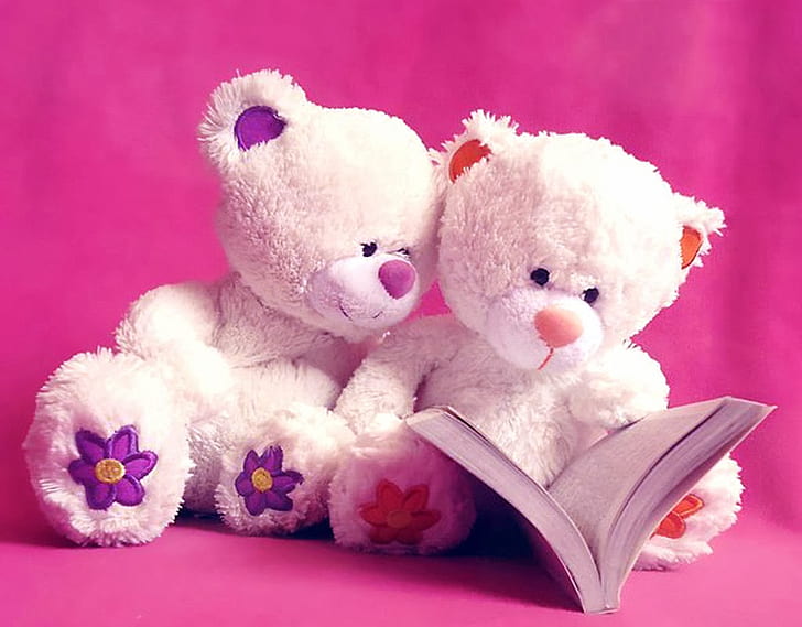 HD wallpaper: bear, cute, doll, pink, teddy bear | Wallpaper Flare