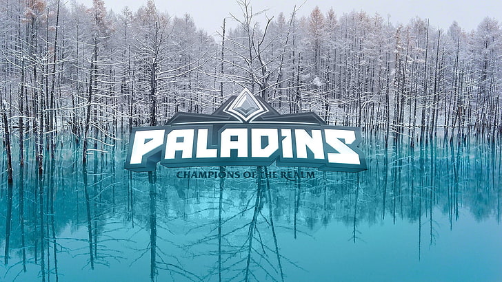 Paladins champions of the Realm logo, spes salutis, text, communication