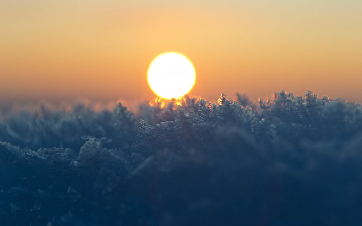 orange sun, golden hour, bokeh, macro, frost, winter, nature, HD wallpaper