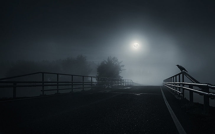 grayscale photo of metal railing, bridge, dark, Moon, crow, birds, HD wallpaper