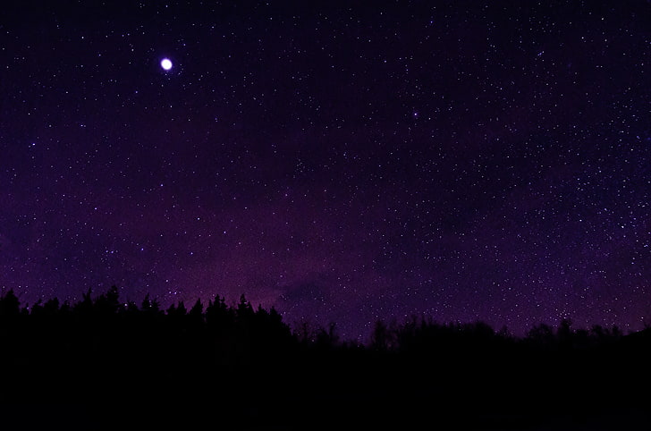 silhouette of trees under starry night, stars, night sky, star - space