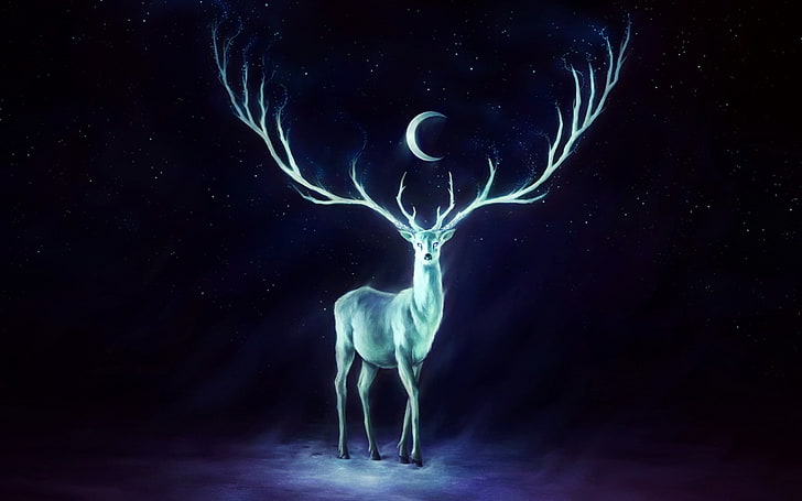 buck and moon wallpaper, artwork, crescent moon, painting, deer