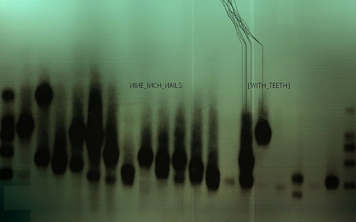 Hd Wallpaper Teeth X Ray Film Nine Inch Nails Background Cover Sign Letters Wallpaper Flare