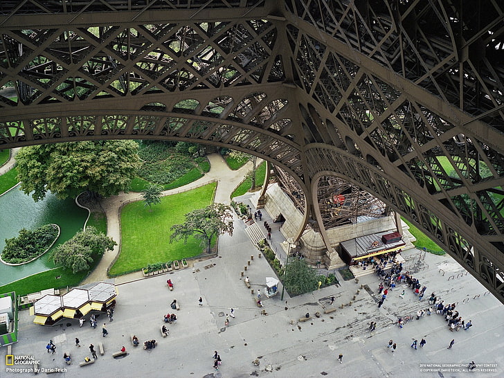 Eiffel Tower, Paris, architecture, built structure, plant, day, HD wallpaper