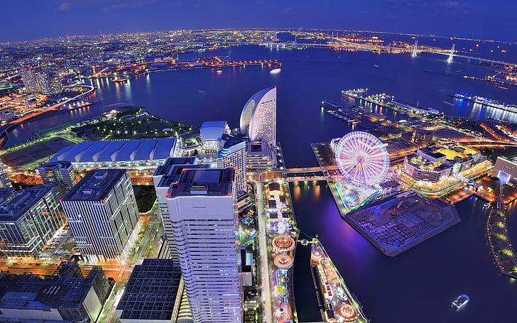 Japan, Yokohama, city, metropolis, buildings, houses, ferris wheel, bay, night
