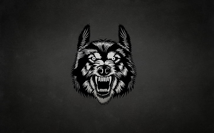 black and white wolf illustration, face, the dark background