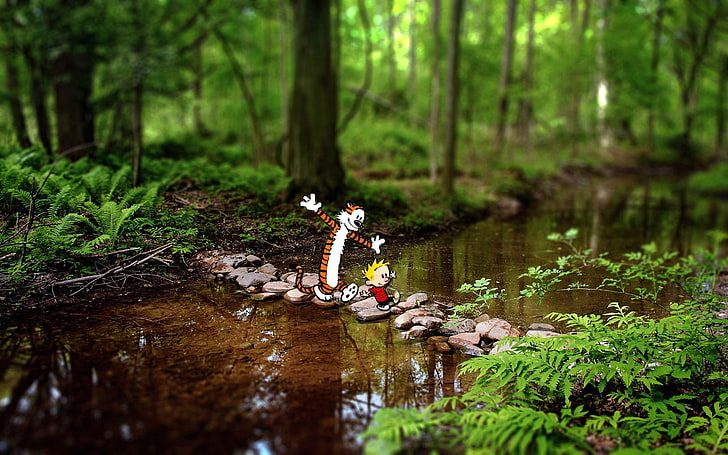 Calvin and Hobbes, plant, tree, forest, water, nature, land