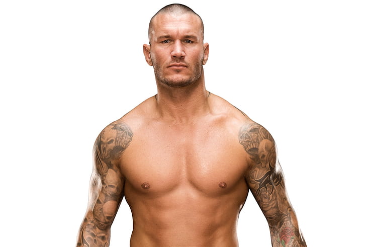 tattoo, snakes, muscle, wrestler, WWE, Randy Orton, .Viper, HD wallpaper