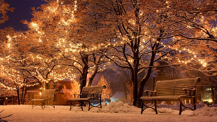 HD wallpaper: winter, snow, christmas lights, branch, tree, night, evening  | Wallpaper Flare