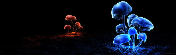 blue and red mushrooms, multiple display, nature, digital art, HD wallpaper