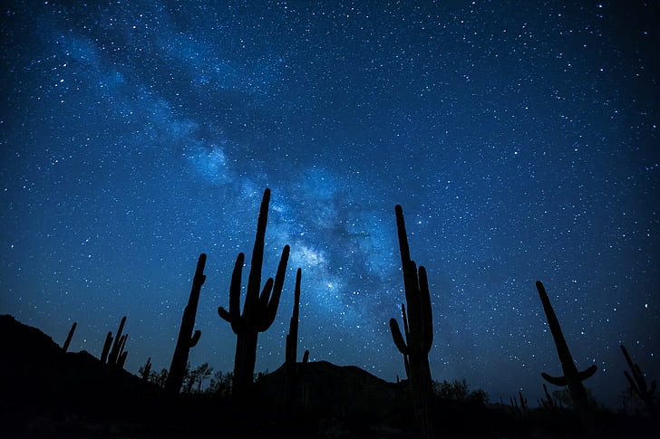 Earth, Sky, Cactus, Desert, Galaxy, Milky Way, Night, Silhouette, HD wallpaper