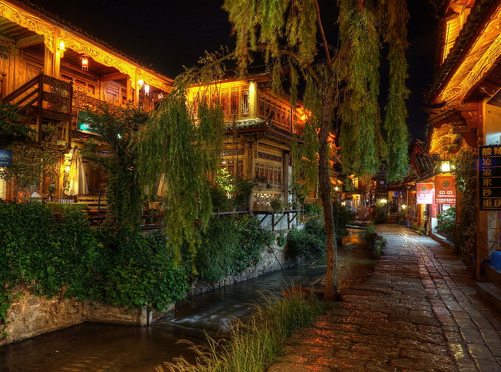 Quiet NIght at Lijiang, China, green leafed plant and canal, Asia, HD wallpaper