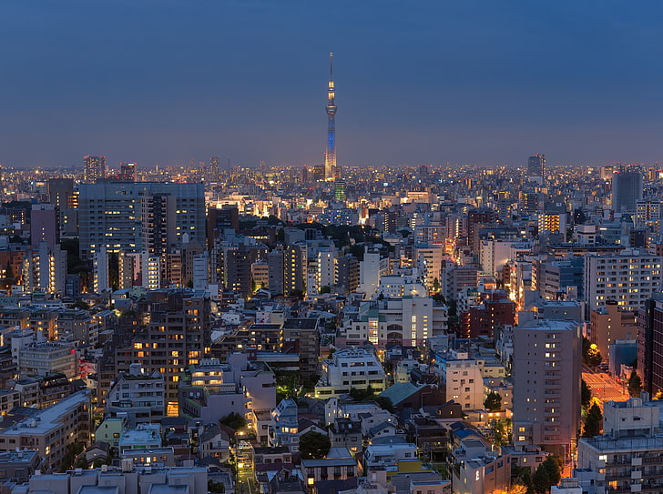 Tokyo City Sunset, high-rise buildings, Lights, Blue, Landscape