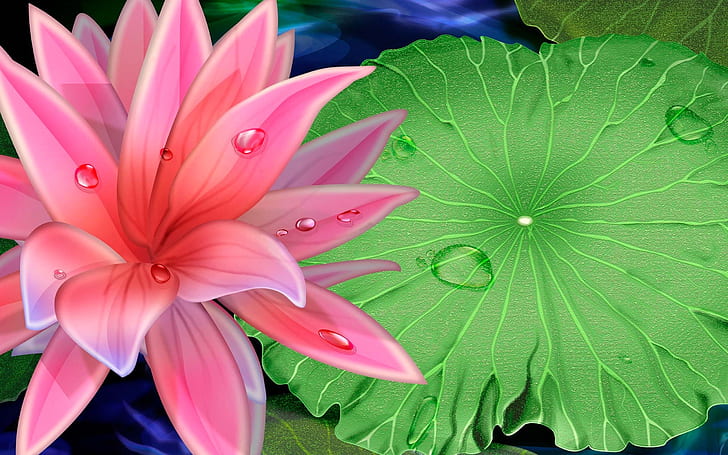 HD wallpaper: Best Lotus Flower Wallpaper High Quality Nature 2560×1600 |  Wallpaper Flare