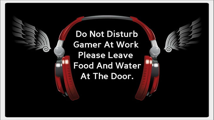 Do Not Disturb Gamer at Work  iPhone Wallpapers