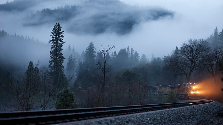 track, tree, sky, train, fog, mist, foggy, rail transpor, forest