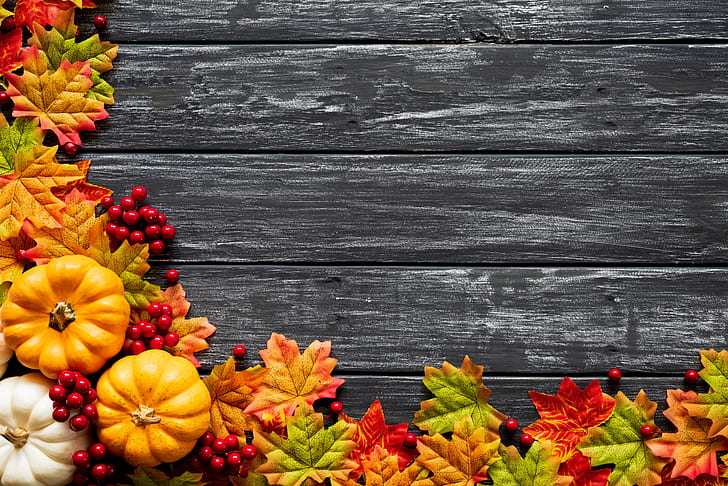 autumn, leaves, background, Board, colorful, pumpkin, maple