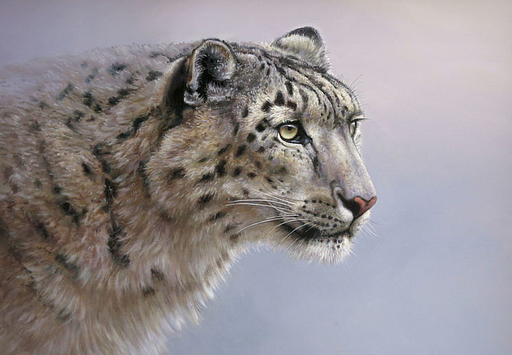 Big Cats Snow Leopards Painting Art Glance wide Mobile, HD wallpaper