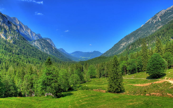 Germany, Bavaria, nature landscape, mountains, forest, trees, blue sky