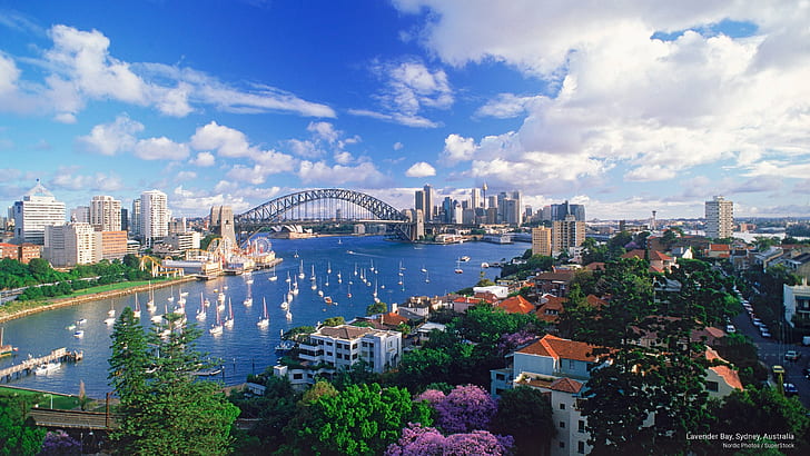 Lavender Bay, Sydney, Australia, Oceania, HD wallpaper