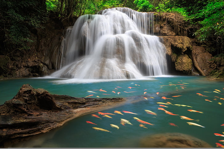waterfalls with koi fishes, sea, the sky, leaves, clouds, trees