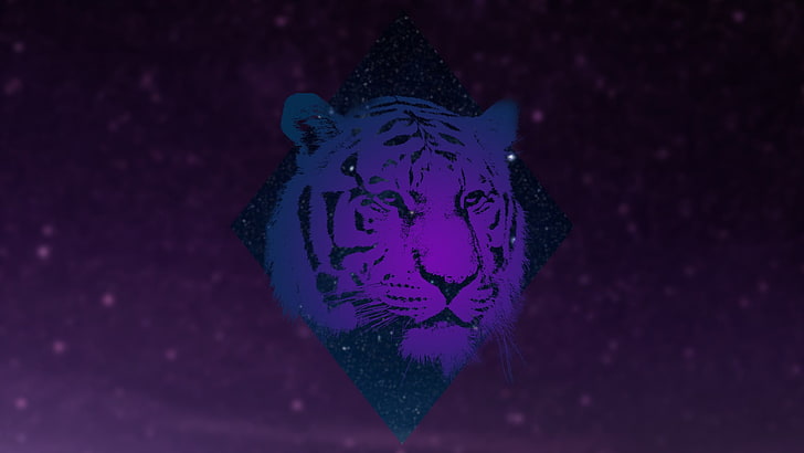 Neon Galaxy Colorful Tiger Theme APK for Android Download