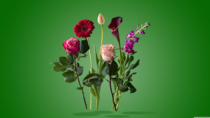 flower, plant, flora, cut flowers, garden roses, flower arranging, HD wallpaper