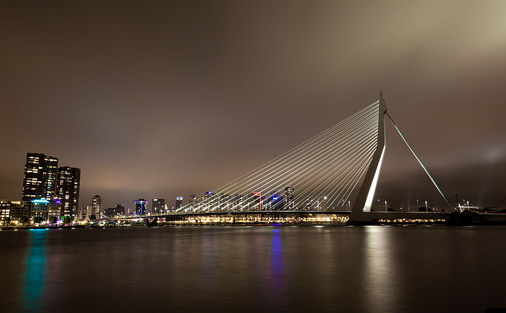 Erasmus Bridge, Rotterdam, The Netherlands, concrete bridge, buildings, and body of water