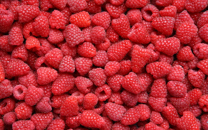 pattern, fruit, food, red, berries, raspberries, HD wallpaper