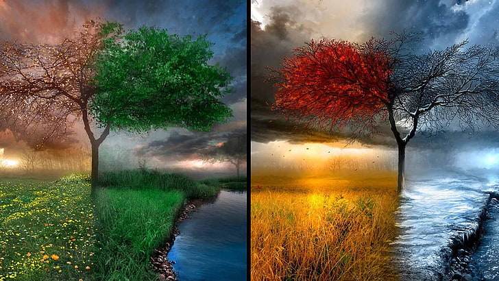 seasons, digital art, nature, drawing, plant, tree, water, reflection