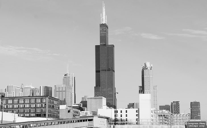 Sears Tower, Willis Tower, Chicago Illinois, Black and White, HD wallpaper