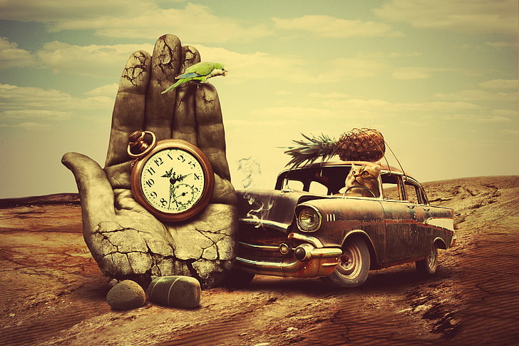 pineapple on car and hand with pocket watch painting, creative, HD wallpaper