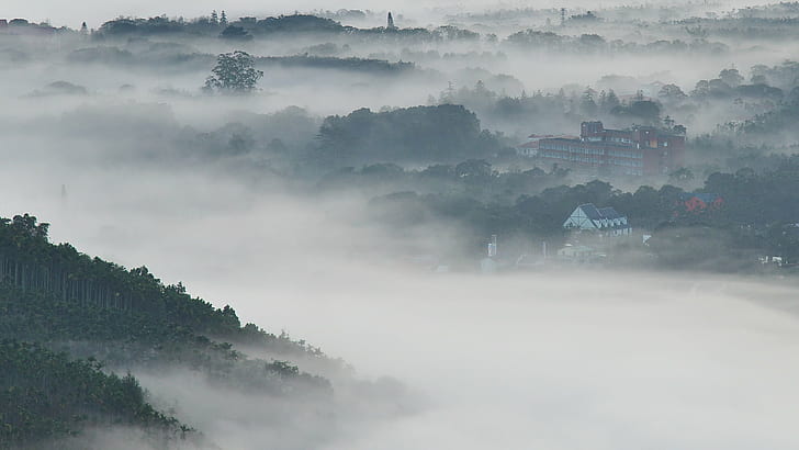 trees and house during fog climate, IMG, 台灣, Taiwan, 南投, HD wallpaper
