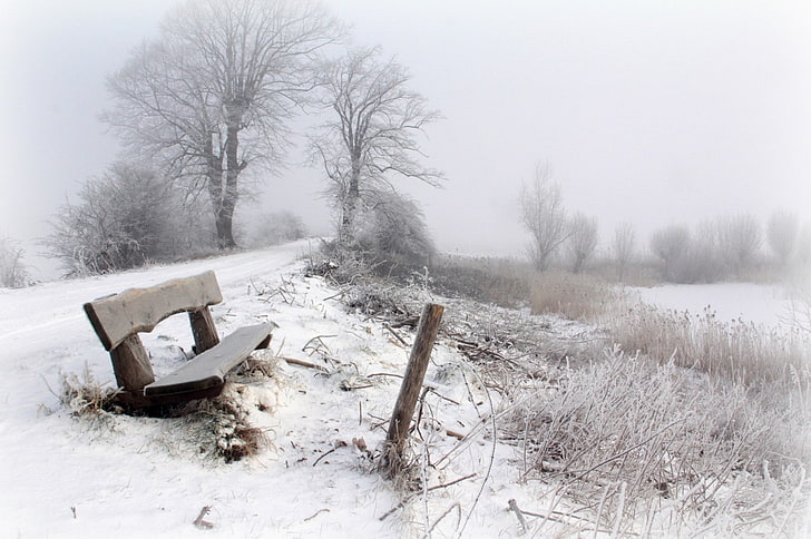 winter, bench, snow, trees, seasons, landscape, cold temperature, HD wallpaper
