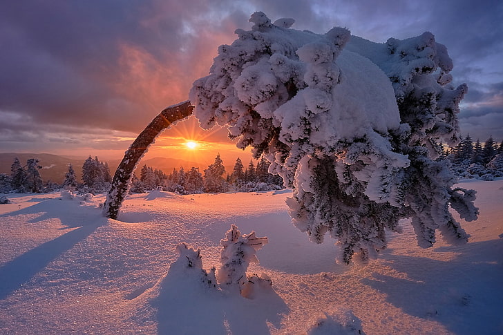 snow, winter, Germany, landscape, sunlight, nature, cold temperature, HD wallpaper