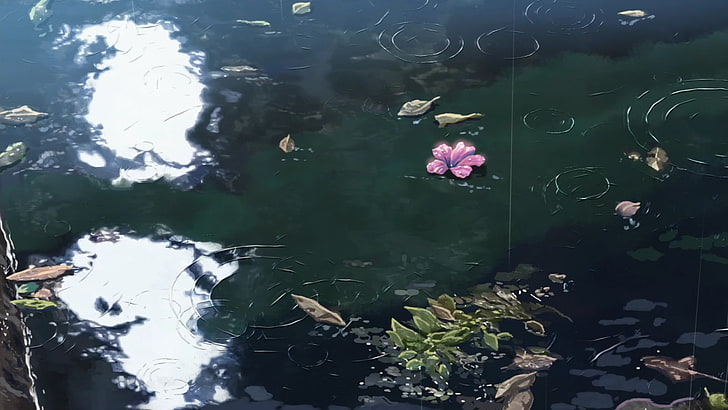 pink petaled flower, rain, The Garden of Words, Makoto Shinkai, HD wallpaper