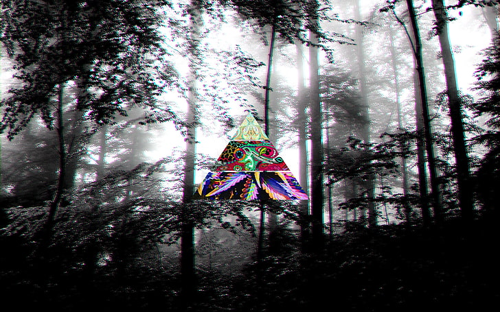 scenery of trees, dark, LSD, forest, plant, no people, nature