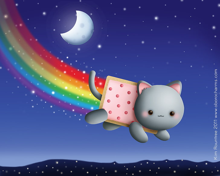 gray cat illustration, feline, animals, food, memes, rainbows, HD wallpaper