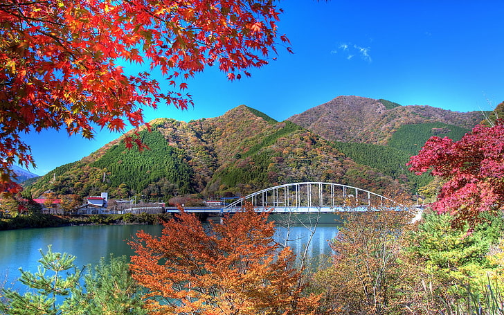 japon, lago, naturaleza, paisaje, autumn, water, tree, mountain, HD wallpaper